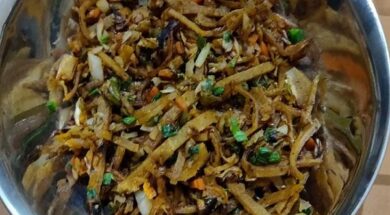 veg chapati noodles