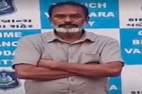 Accused of breaking car windows and stealing arrested