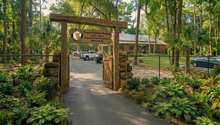 ડીસાના ડાવસ ખાતે 13 એકરમાં બનાવાશે રાજ્યની પ્રથમ હાઈટેક નર્સરી