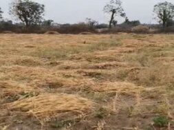 FARM, Crop damage due to rain