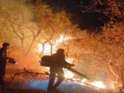 Fire, Nasawadi forest