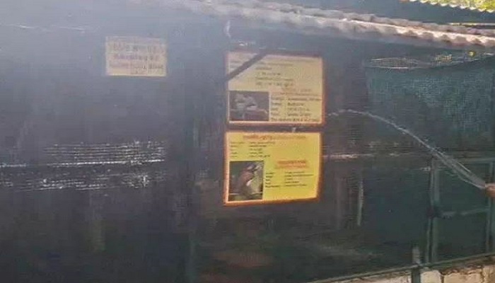 કાંકરિયા ઝુમાં પ્રાણીઓ અને પક્ષીઓને ઠંડક માટે એરકૂલરો મુકાયા, પાણીનો સતત છંટકાવ