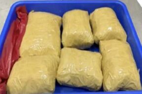 Marijuana seized, surat airport