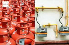 LPG cylinders for cooking gas will be discontinued