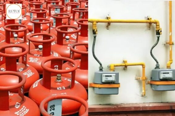 LPG cylinders for cooking gas will be discontinued