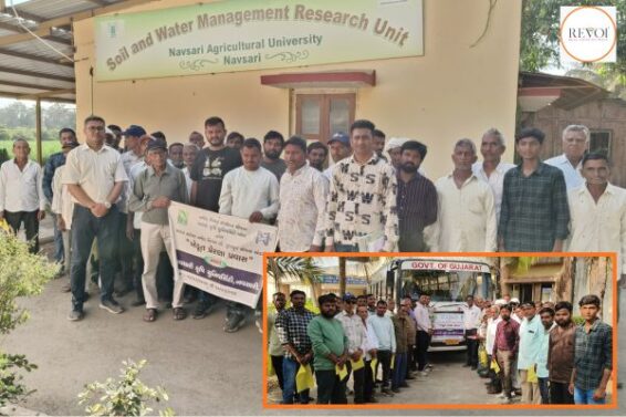 આણંદ કૃષિ યુનિવર્સિટીના