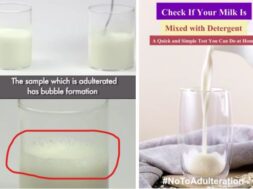 How to check if milk is pure or mixed in one minute?