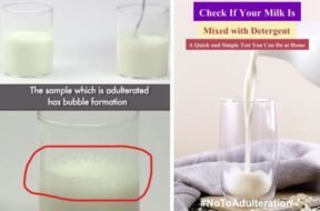 How to check if milk is pure or mixed in one minute?