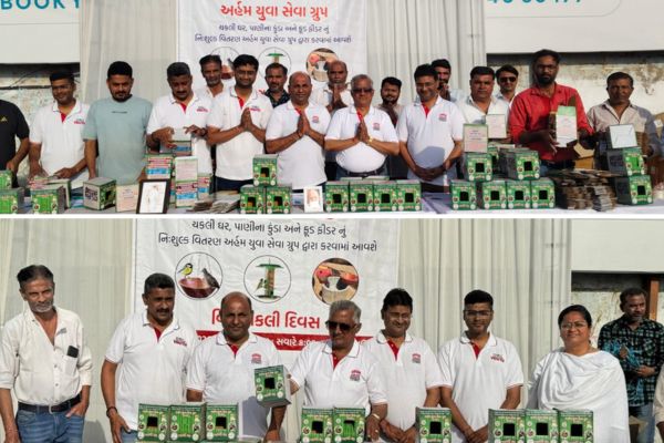 Distribution of bird nests 