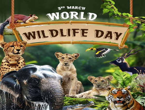 આપણા શાસ્ત્રો બધા જીવોના કલ્યાણ માટે પ્રાર્થના કરે છે: નરેન્દ્ર મોદી