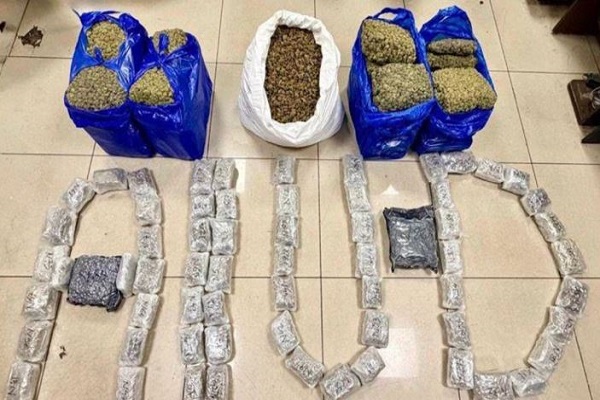 AIU એ CSMIA થી હાઇડ્રોપોનિક ગાંજાના કન્સાઇનમેન્ટ કેસમાં ચાર મુસાફરોની ધરપકડ કરી