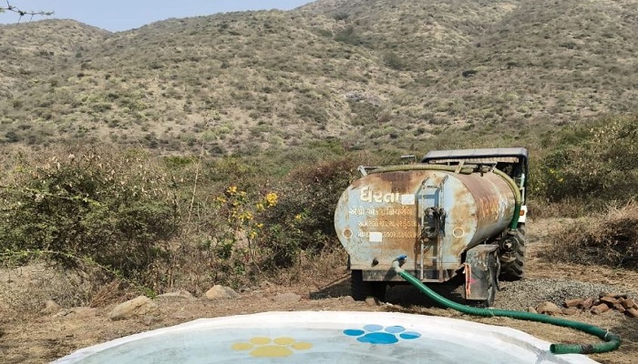 ભાવનગર જિલ્લામાં તાપમાન વધતા સિંહો માટે પાણીના કૃત્રિમ કુંડ તૈયાર કરાયા