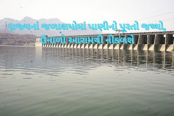 ઉનાળામાં પૂરતા પ્રમાણમાં પીવાના પાણીનો જથ્થો ઉપલબ્ધ, જાણો જળાશયોમાં કેટલો જથ્થો?