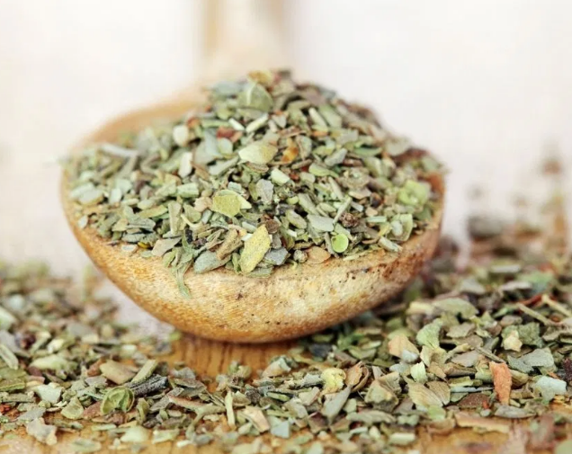 માત્ર પિઝાનો સ્વાદ જ નહીં, સ્વાસ્થ્ય પણ સુધારશે ઓરિગેનો, જાણો તેના ફાયદા