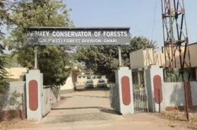Forest office, Dhari