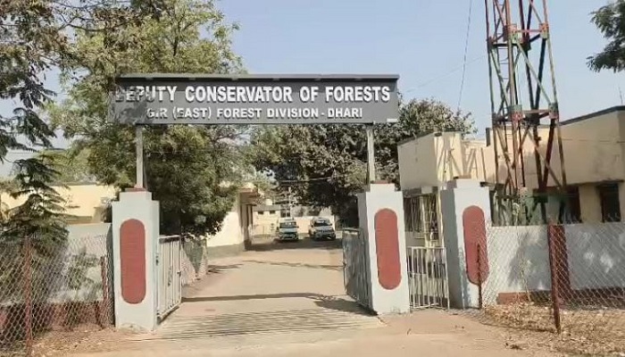 સાવરકૂંડલાના બાઢડા ગામની સીમમાં ખૂલ્લા કૂવામાં પડતા સિંહણનું મોત