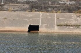 Gap in Narmada canal