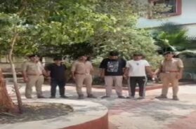 Illegally lion veiwing, 3 arrested