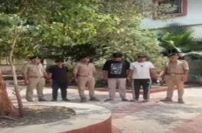 Illegally lion veiwing, 3 arrested