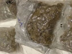 Marijuana seized. Ahmadabad Airport