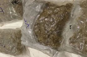 Marijuana seized. Ahmadabad Airport
