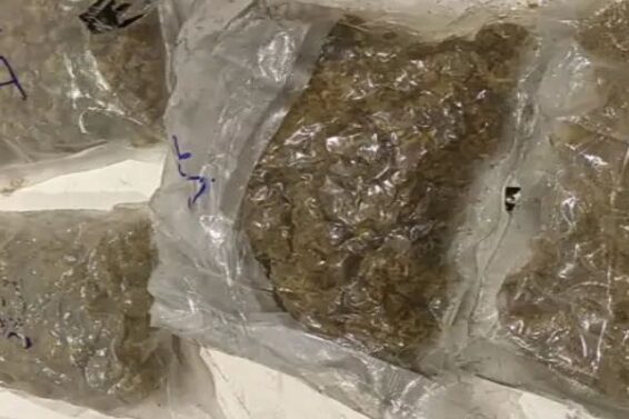 Marijuana seized. Ahmadabad Airport