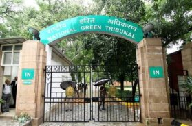 National Green Tribunal