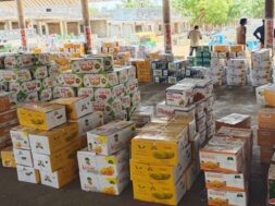 SAFFRON MANGO, Talala yard