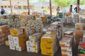 SAFFRON MANGO, Talala yard