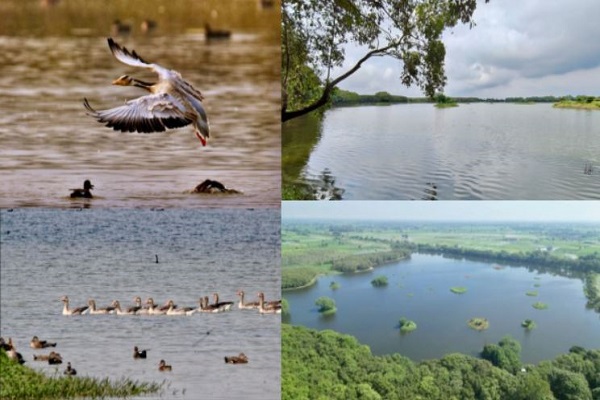 ઉત્તર પ્રદેશમાં શેખા તળાવ પક્ષી અભયારણ્યને રામસર સ્થળનો દરજ્જો આપવામાં આવ્યો