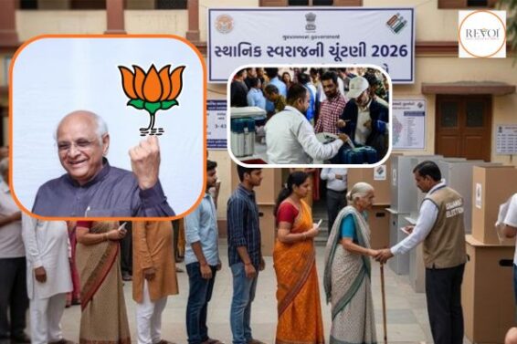 Gujarat: BJP ahead at all levels of local self-government in early hours of counting