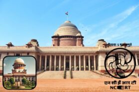 Your paragraph text (26)