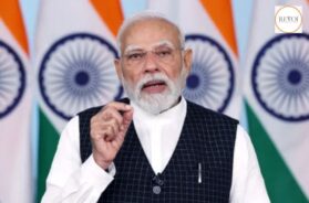 Your paragraph text (96)