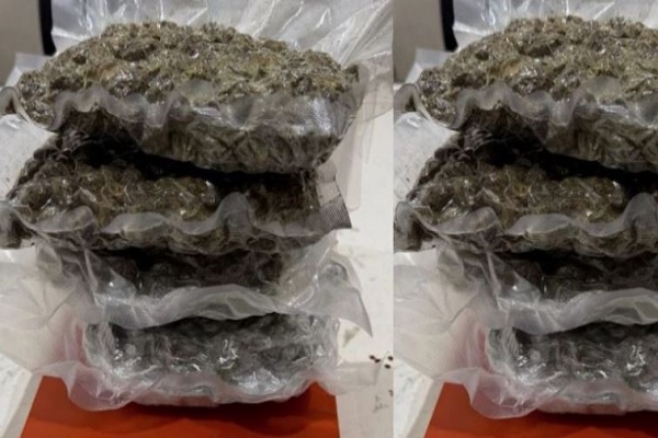 અમદાવાદ એરપોર્ટ પર બેંગકોકથી આવેલા મુસાફર પાસેથી 1.10 કિલો હાઈબ્રીડ ગાંજો જપ્ત