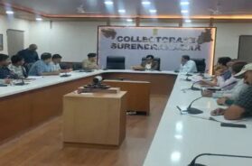 surendranagar collector