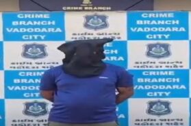Accused in fraud case arrested