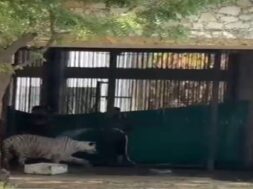 Baroda, Zoo