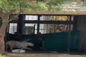 Baroda, Zoo