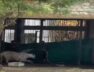 Baroda, Zoo