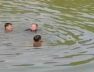 Dhatarwadi river, Two children drowned