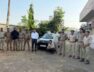 Driver arrested for crushing lion cub