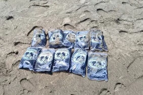 Drug packets found