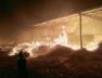 Fire, Bhachau