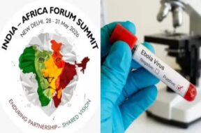 India-Africa summit