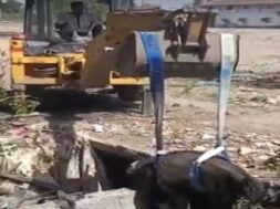 Karajan, a bull fell into an poen sewer