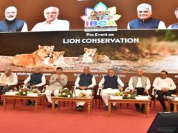 LIon Conservation