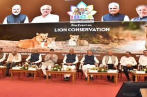 LIon Conservation