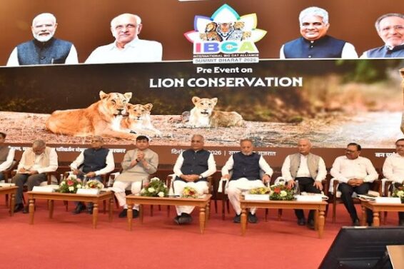 LIon Conservation