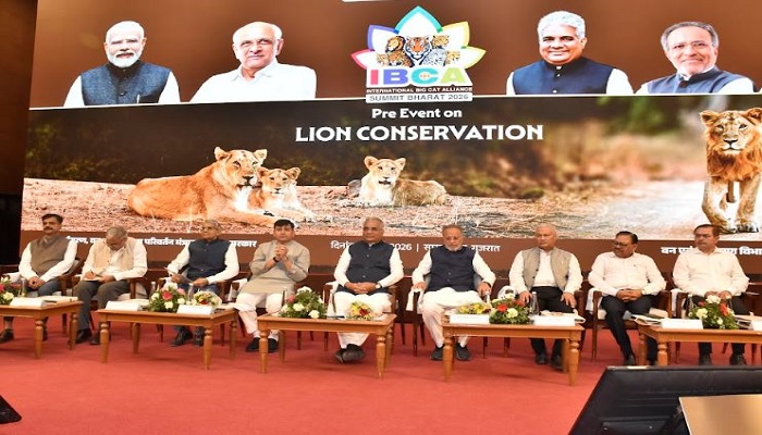 વન વિભાગની દેખભાળને લીધે સિંહોની વસતી વધીને 891એ પહોંચી છેઃ મુખ્યમંત્રી