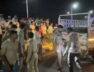 Lion cub dies after being hit by vehicle